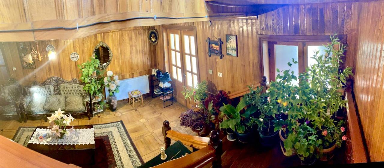 Guesthouse Georgia Sagarejo 외부 사진