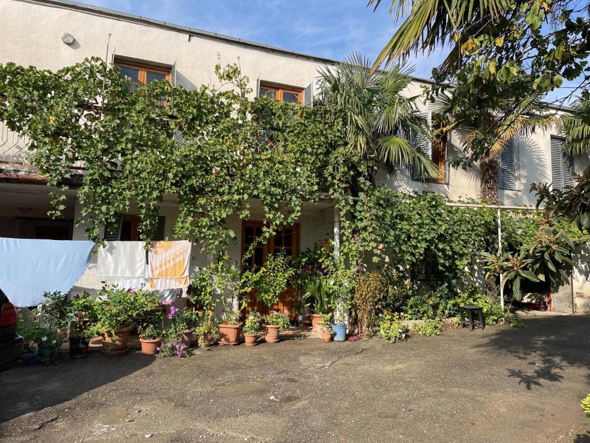 Guesthouse Georgia Sagarejo 외부 사진